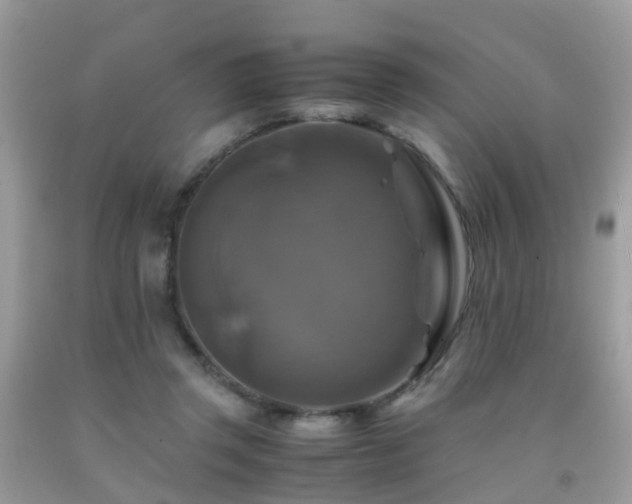 X0000092000357200709061444