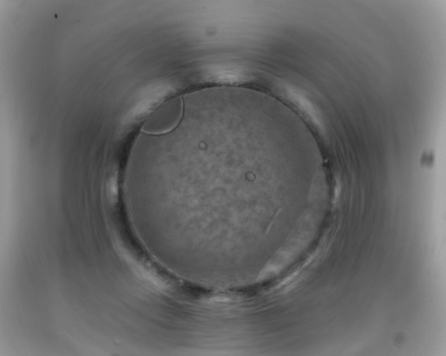 X0000092000358200709061444