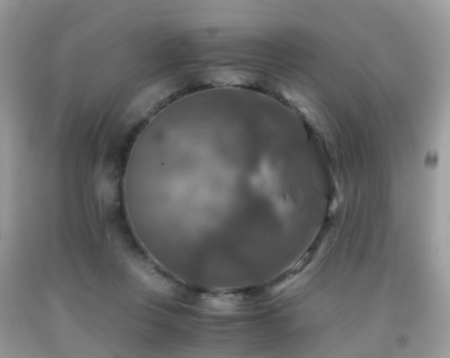 X0000092000359200709061444