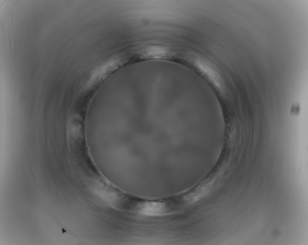 X0000092000361200709061444