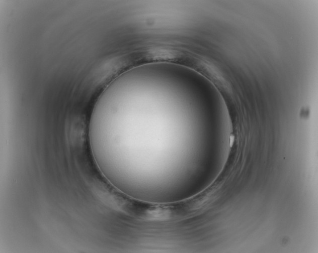 X0000092000362200709061444