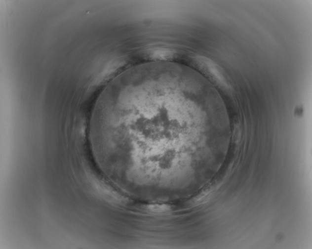 X0000092000363200709061444