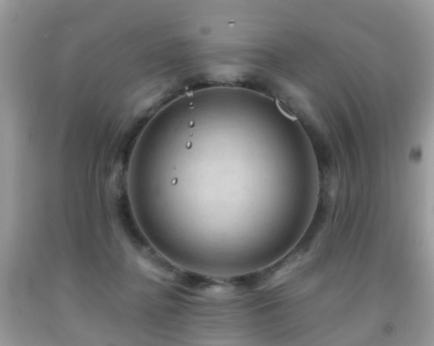 X0000092000364200709061444