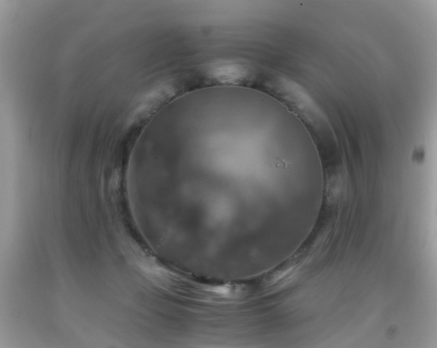 X0000092000365200709061444