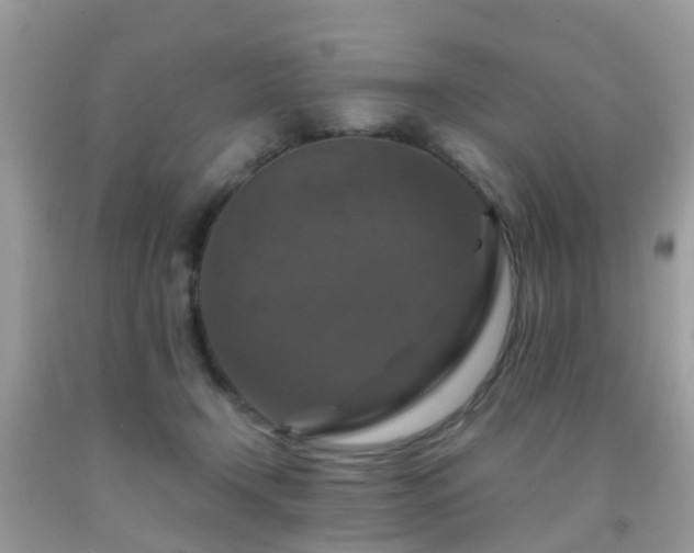 X0000092000366200709061444