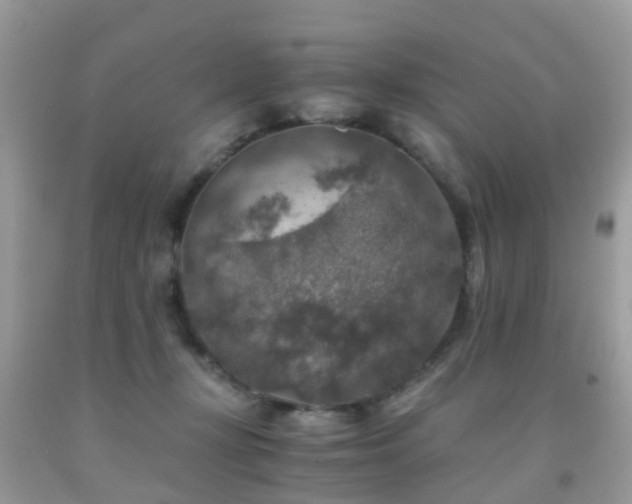 X0000092000367200709061444