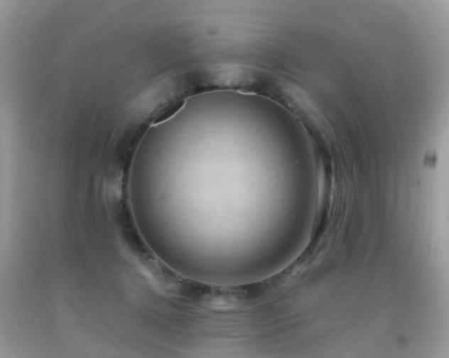 X0000092000368200709061444