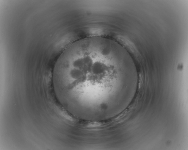 X0000092000369200709061444