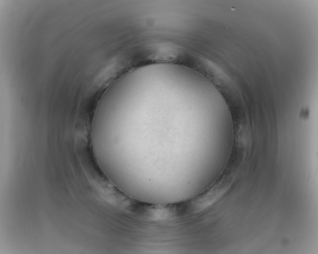 X0000092000370200709061444