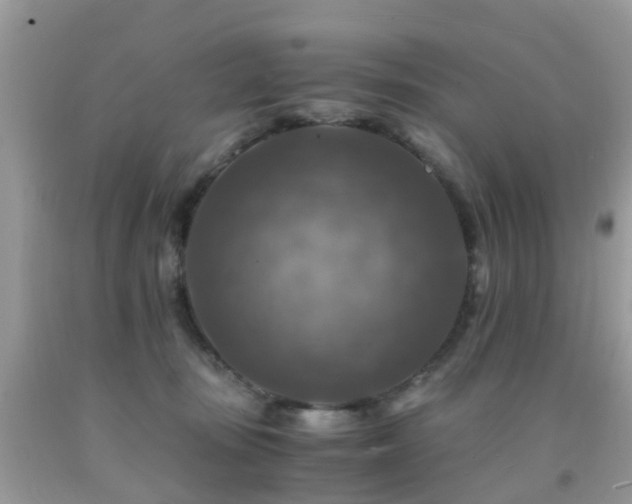 X0000092000371200709061444