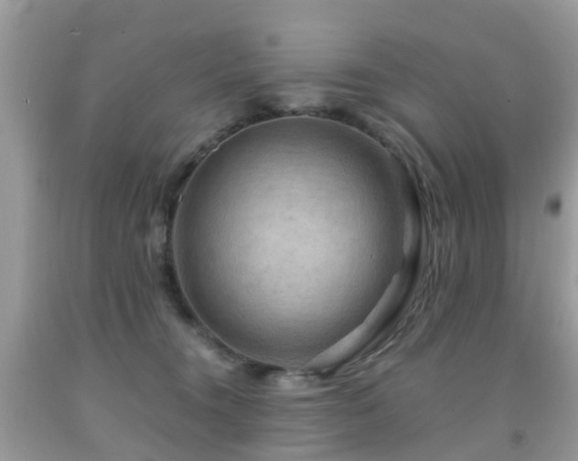 X0000092000372200709061444