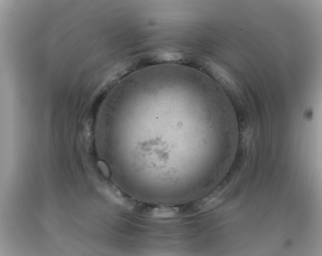 X0000092000373200709061444