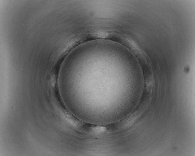 X0000092000374200709061444