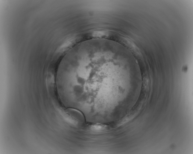 X0000092000375200709061444