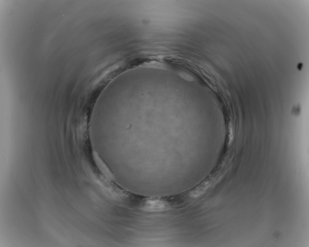 X0000092000376200709061444