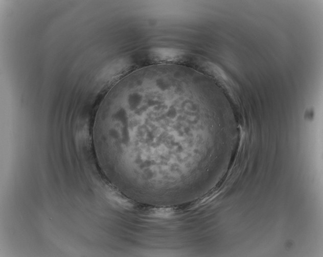 X0000092000377200709061444