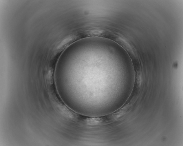 X0000092000378200709061444