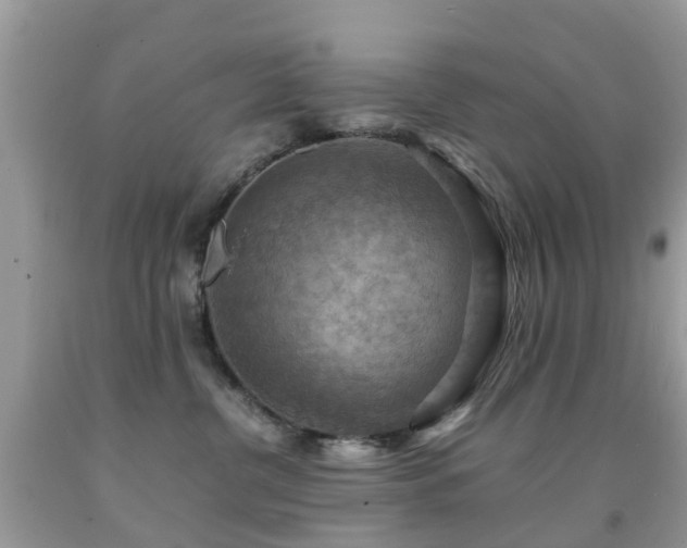 X0000092000380200709061444