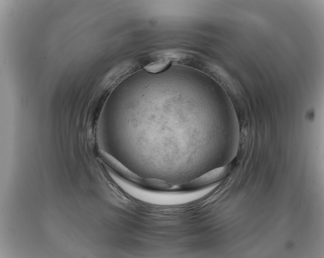 X0000092000381200709061444