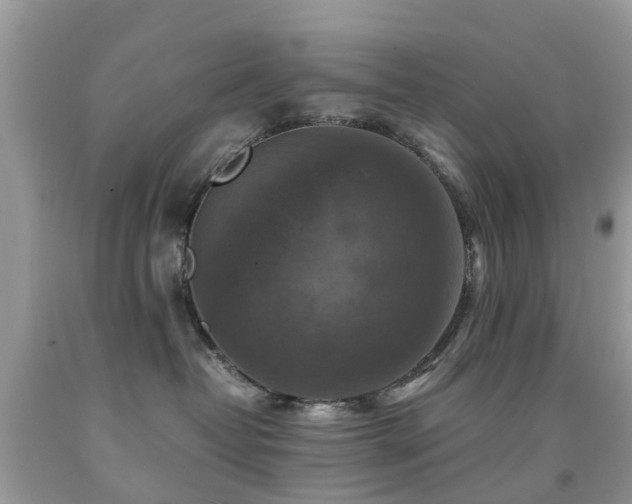 X0000092000382200709061444