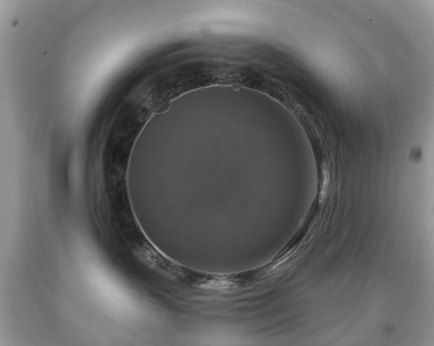 X0000092000383200709061444