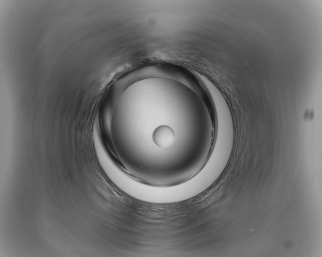 X0000092000384200709061444