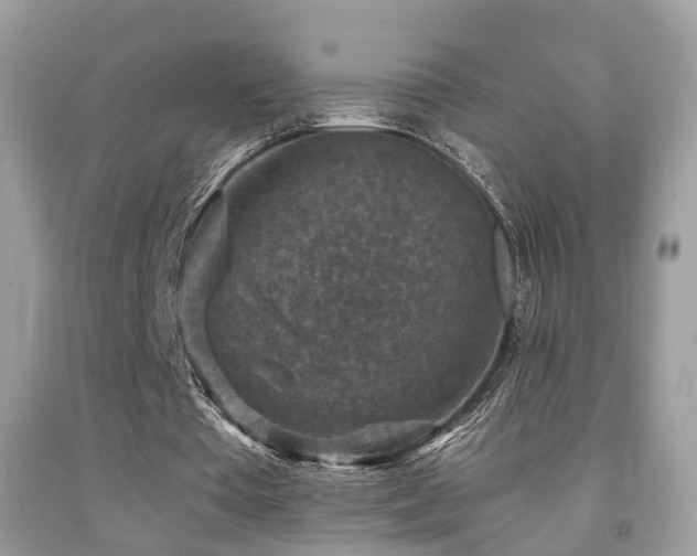 X0000092000385200709061443