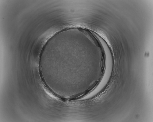 X0000092000389200709061443