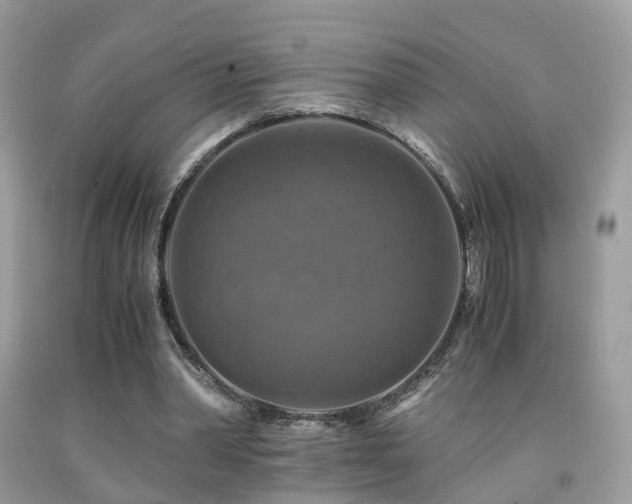 X0000092000390200709061443