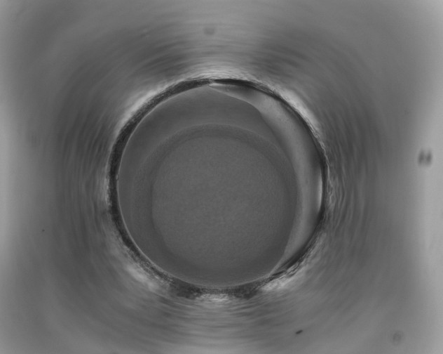 X0000092000391200709061443