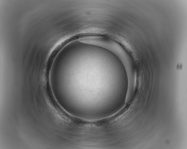 X0000092000392200709061443