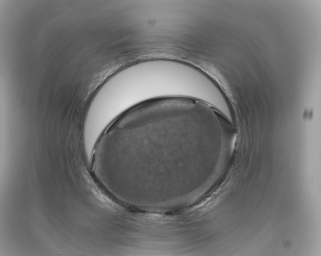 X0000092000393200709061443