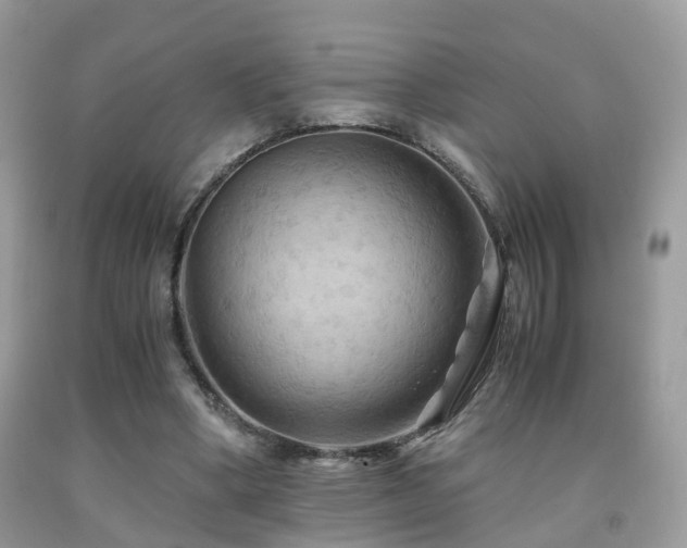 X0000092000394200709061443