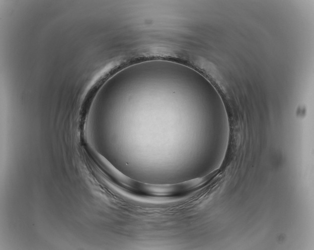 X0000092000395200709061443