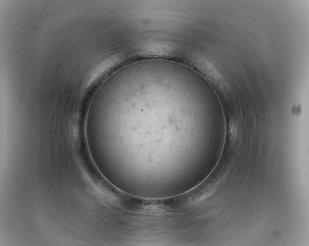 X0000092000396200709061443