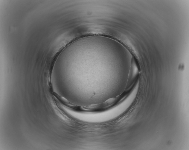 X0000092000397200709061443