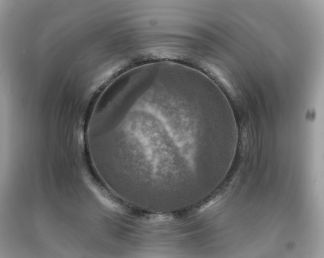 X0000092000398200709061443