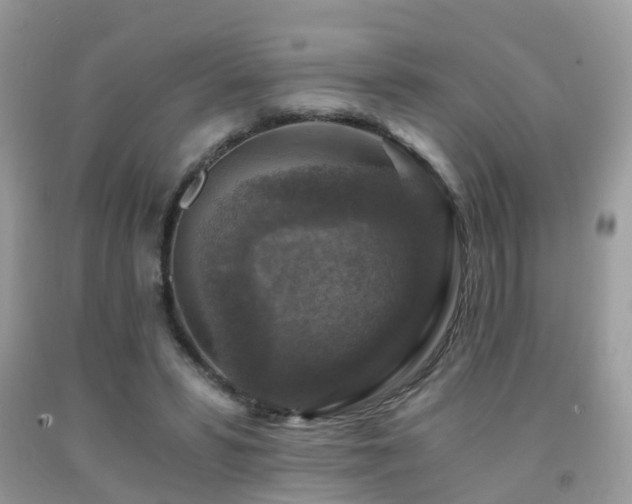 X0000092000399200709061443