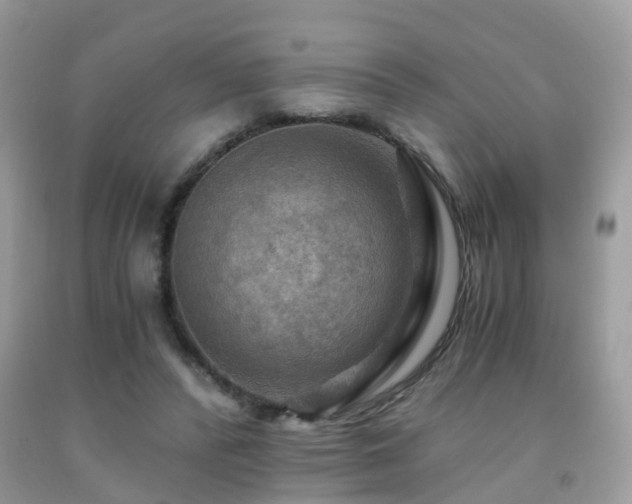 X0000092000400200709061443