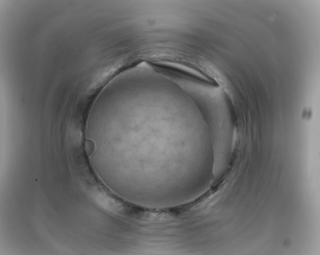 X0000092000401200709061443