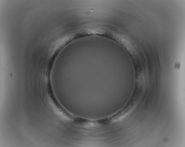 X0000092000402200709061443