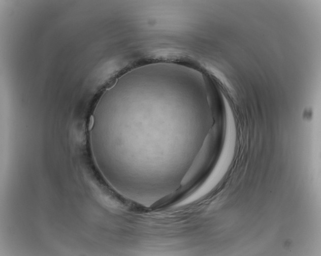 X0000092000403200709061443