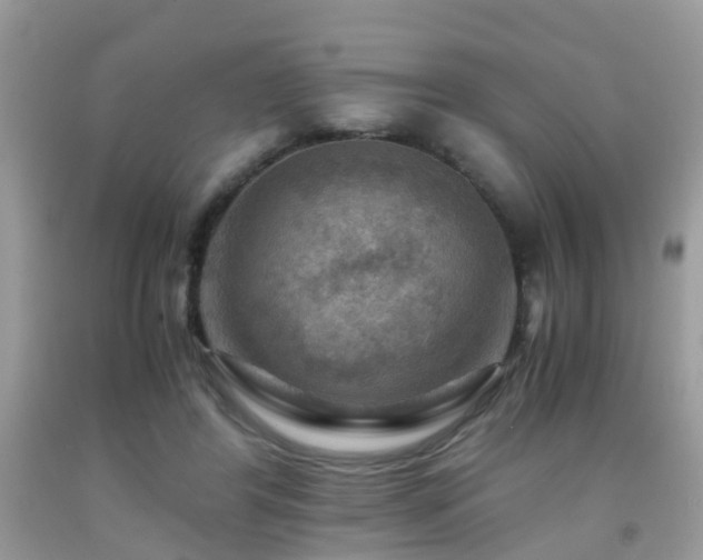 X0000092000404200709061443