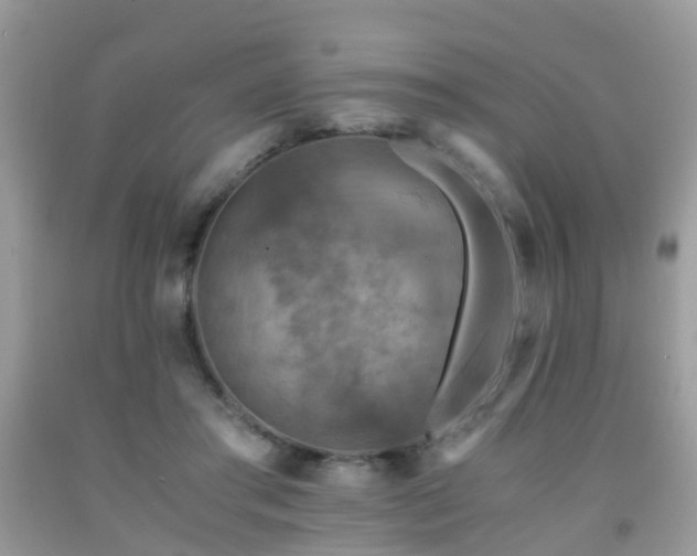 X0000092000405200709061443