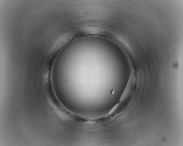 X0000092000406200709061443