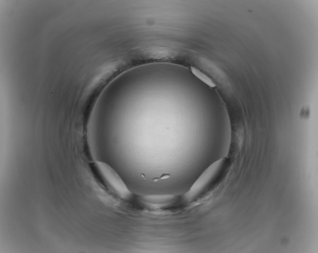 X0000092000407200709061443