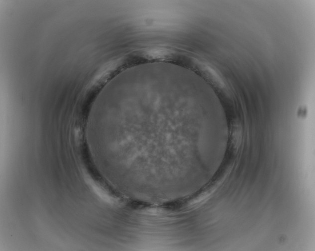 X0000092000408200709061443