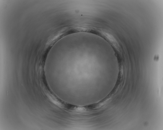 X0000092000409200709061443