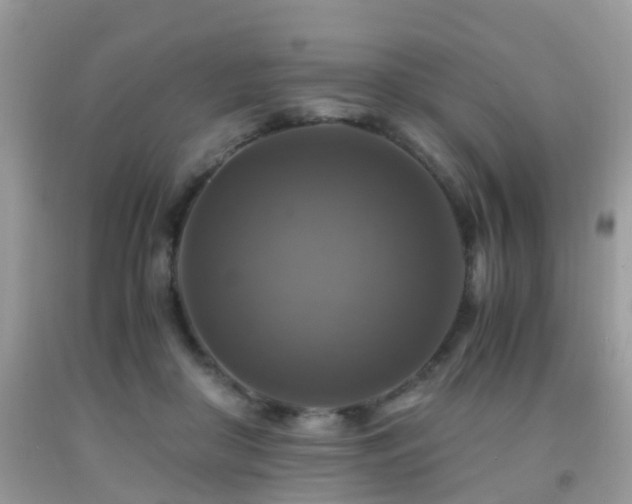 X0000092000410200709061443