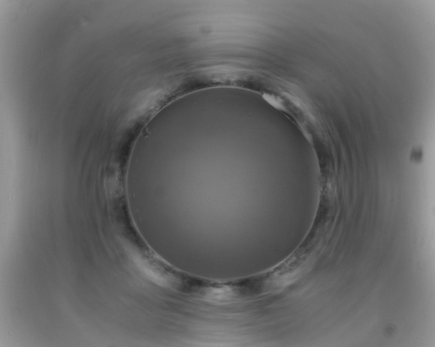 X0000092000411200709061443